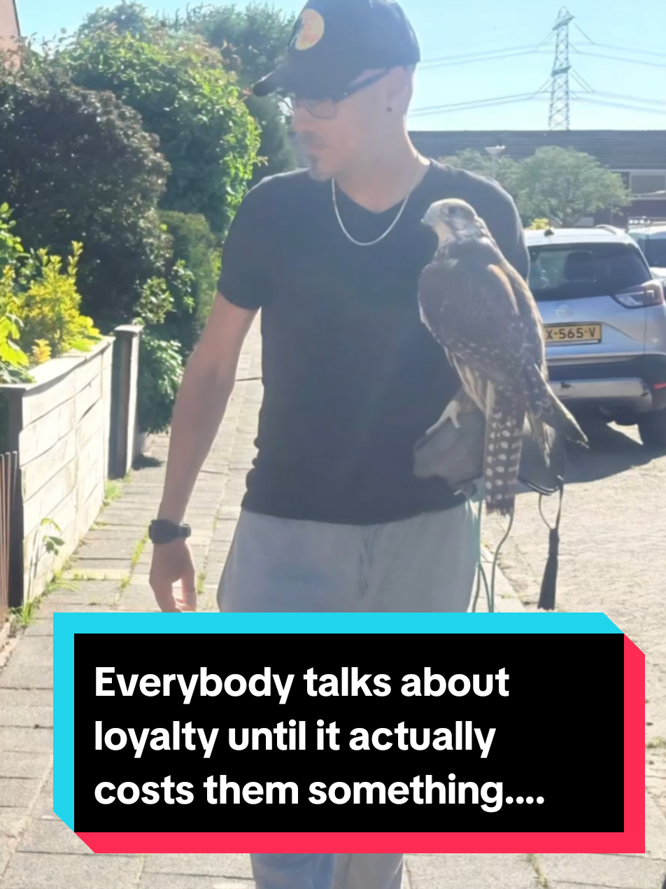 @Birddaddy🦜🦉🦅