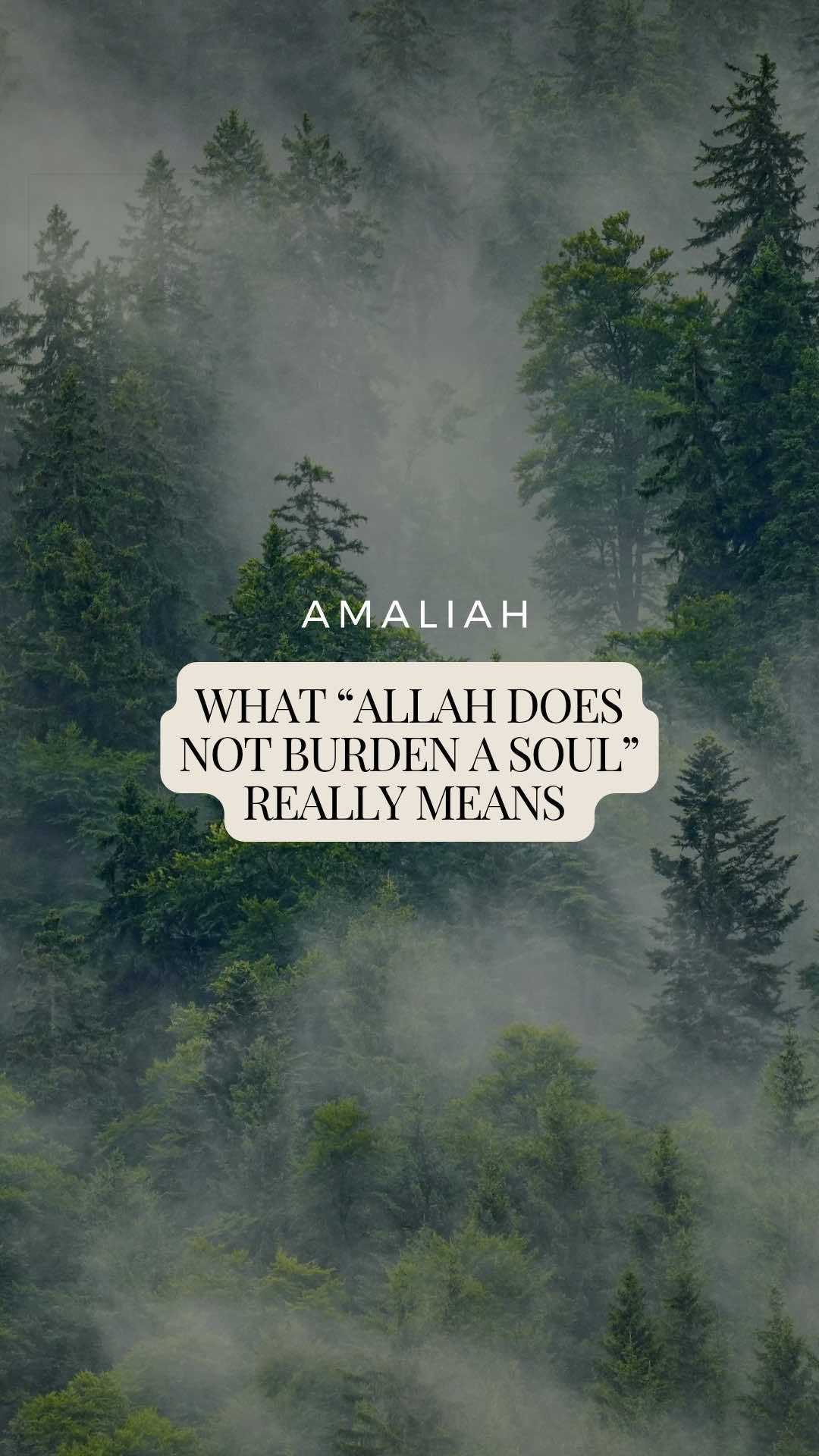 @Amaliah