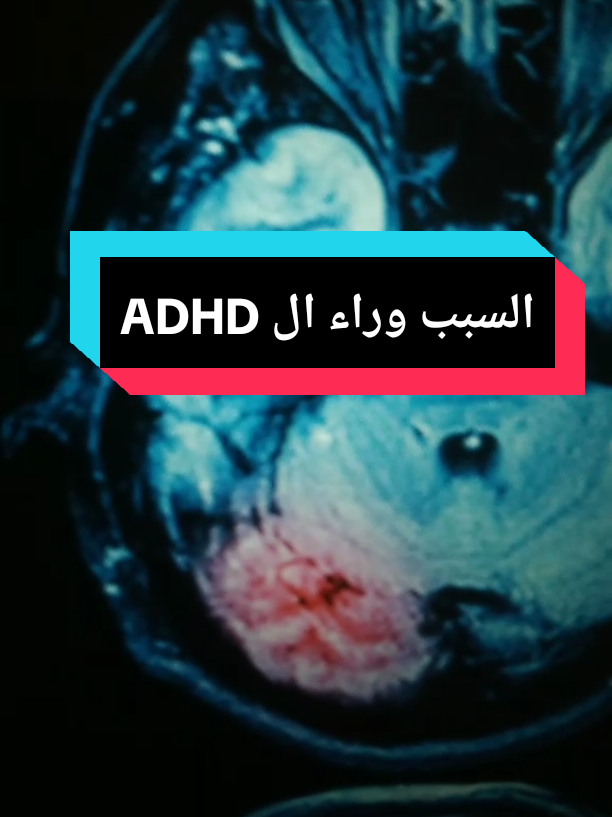 @Free Minds | العقول المتحررة💡
