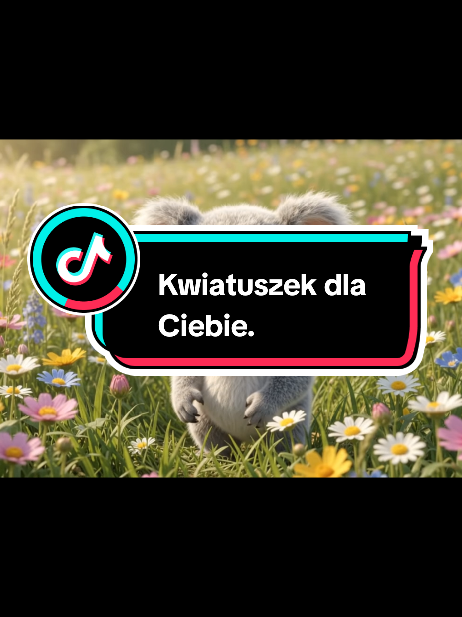 @Wesolutki Karolek 🐨
