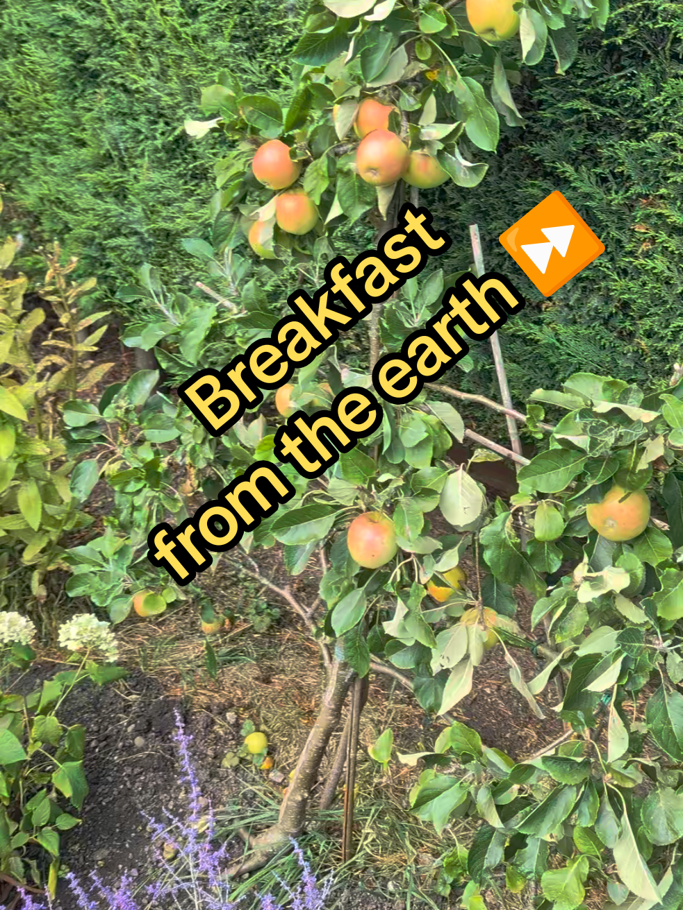 @TrainwithBenPT