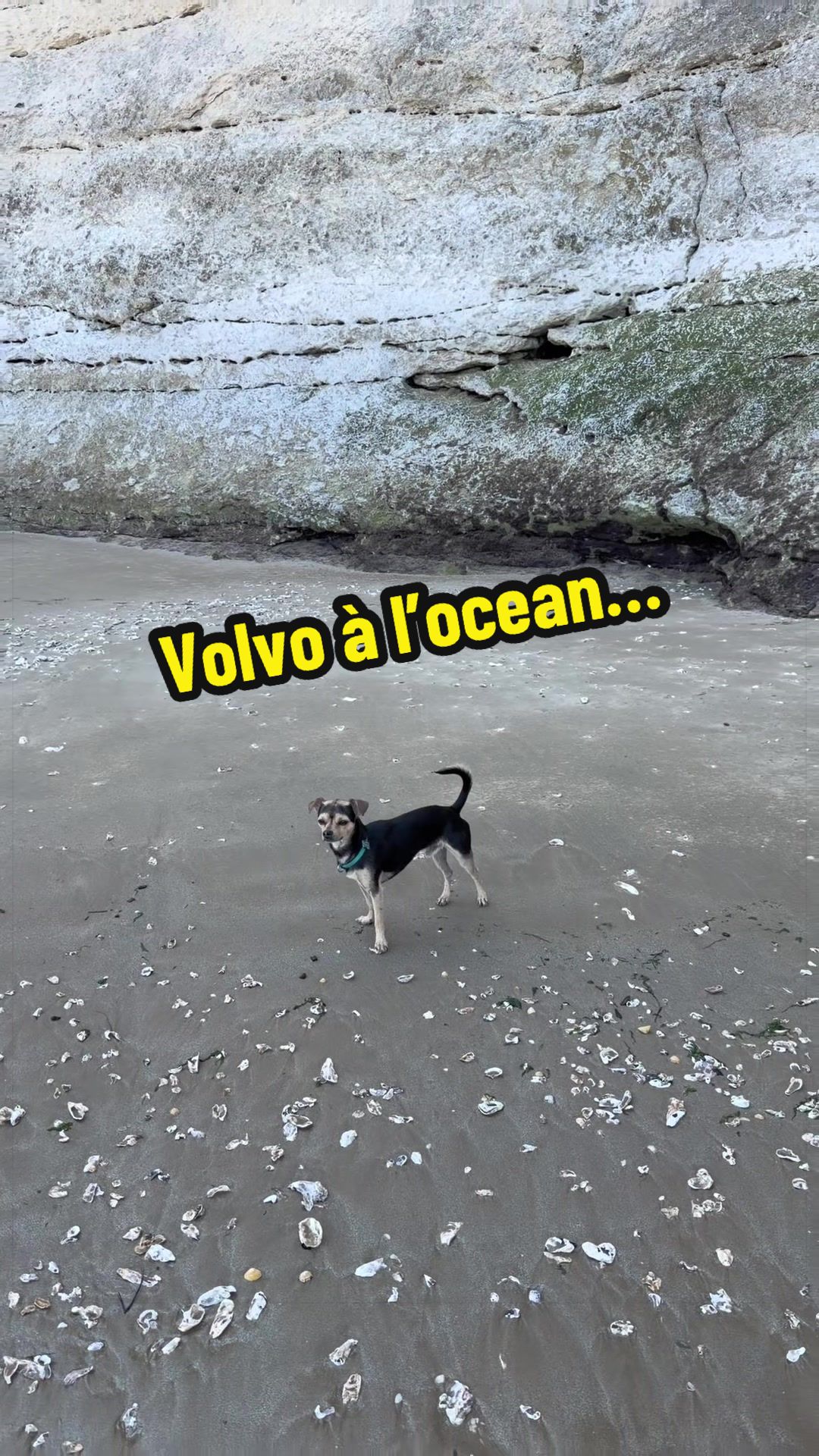 @STEPH & VOLVO
