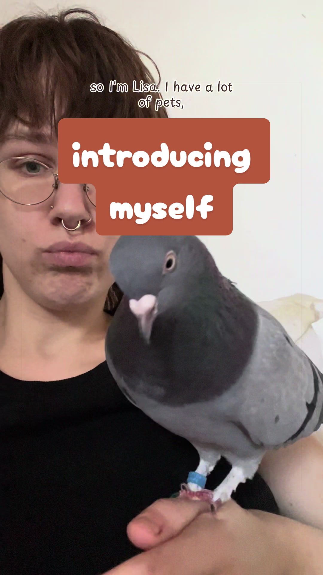 @Lisa‘s Pets