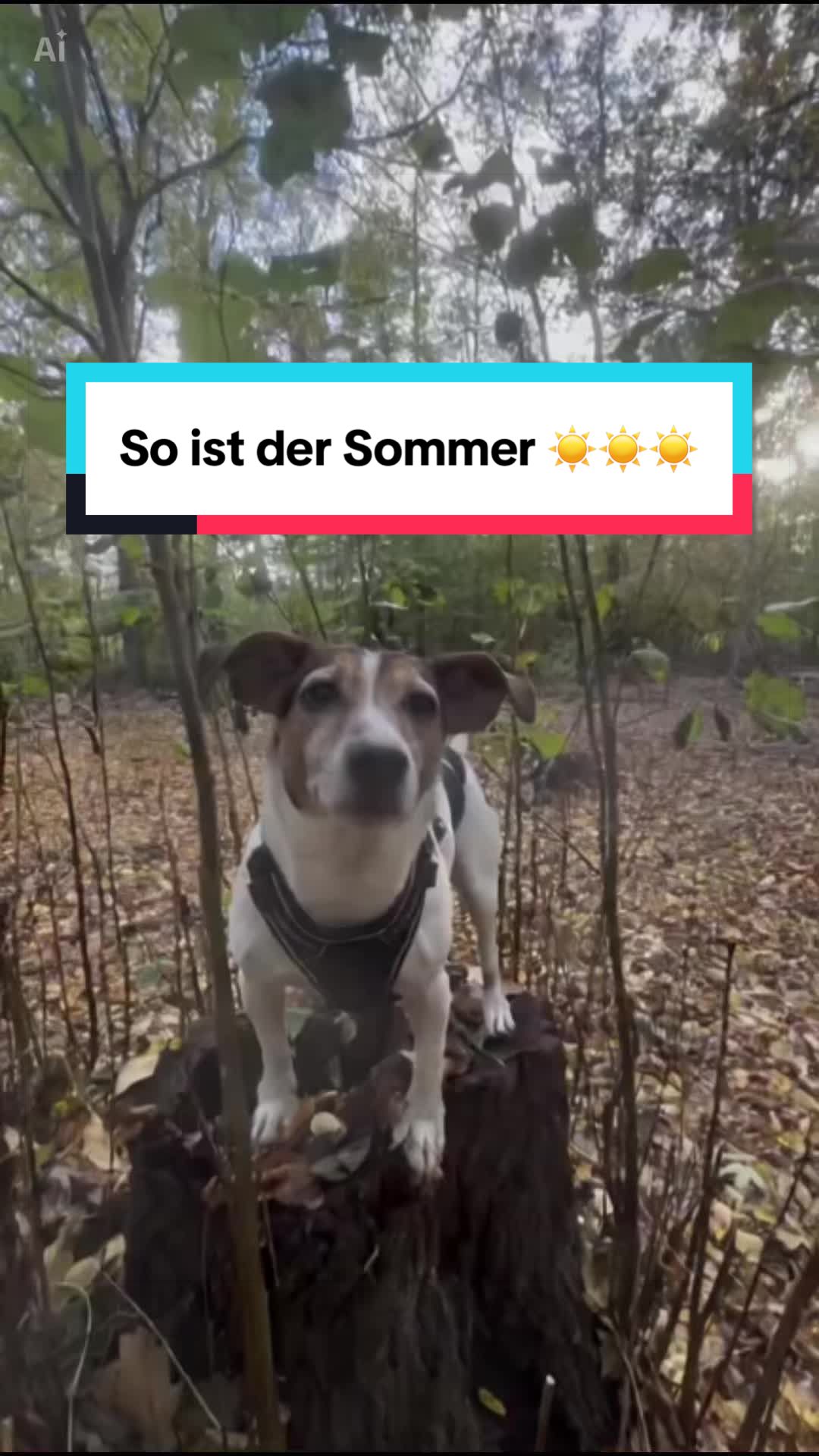 @Rocky und ich