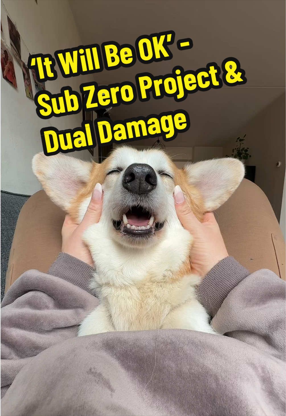 @Kickroll Corgi Charlie 🐶🚀