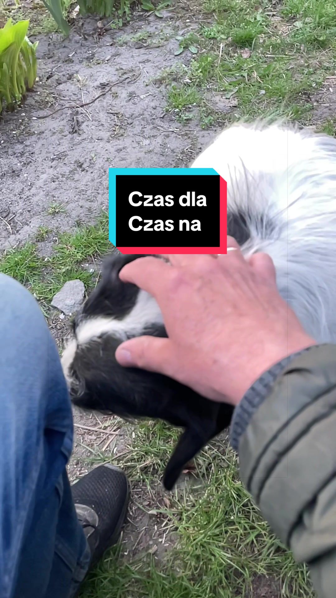 @KAZNODZIEJA