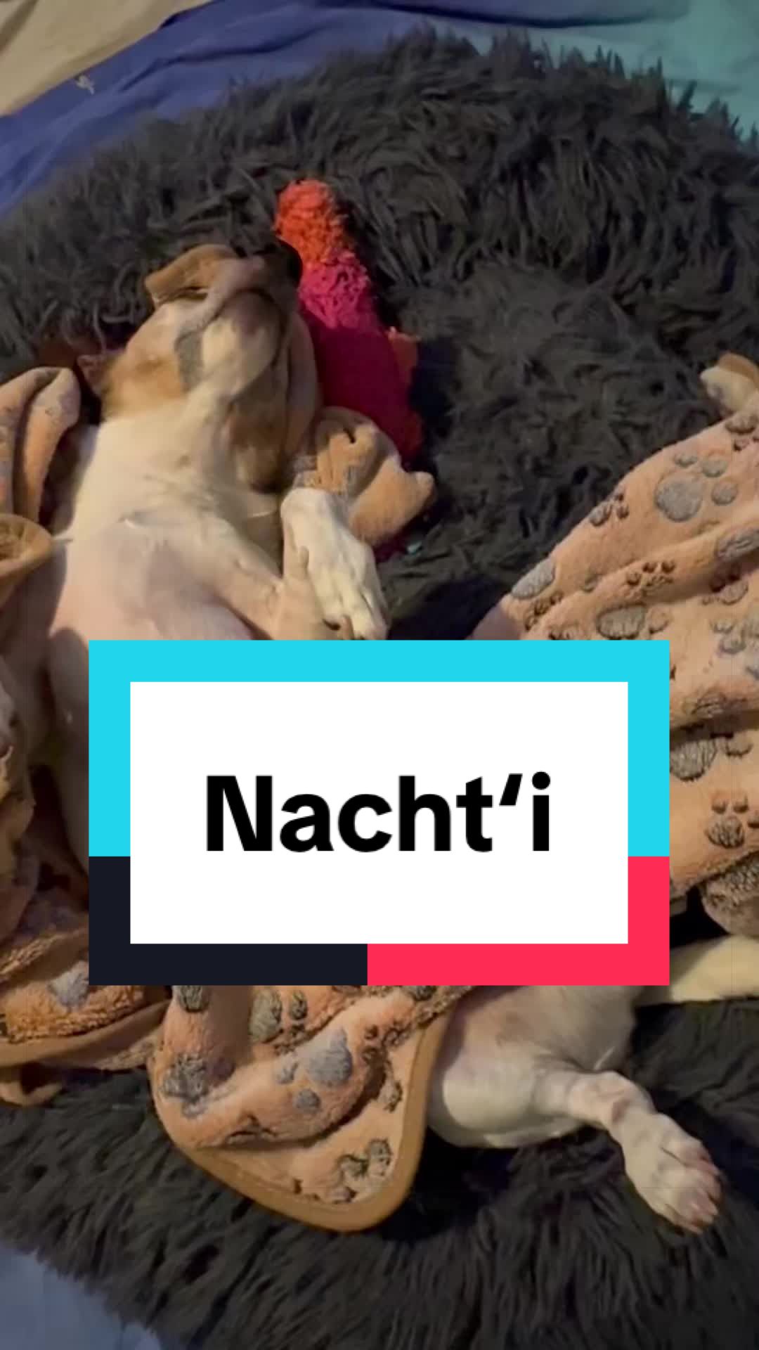 @Rocky und ich