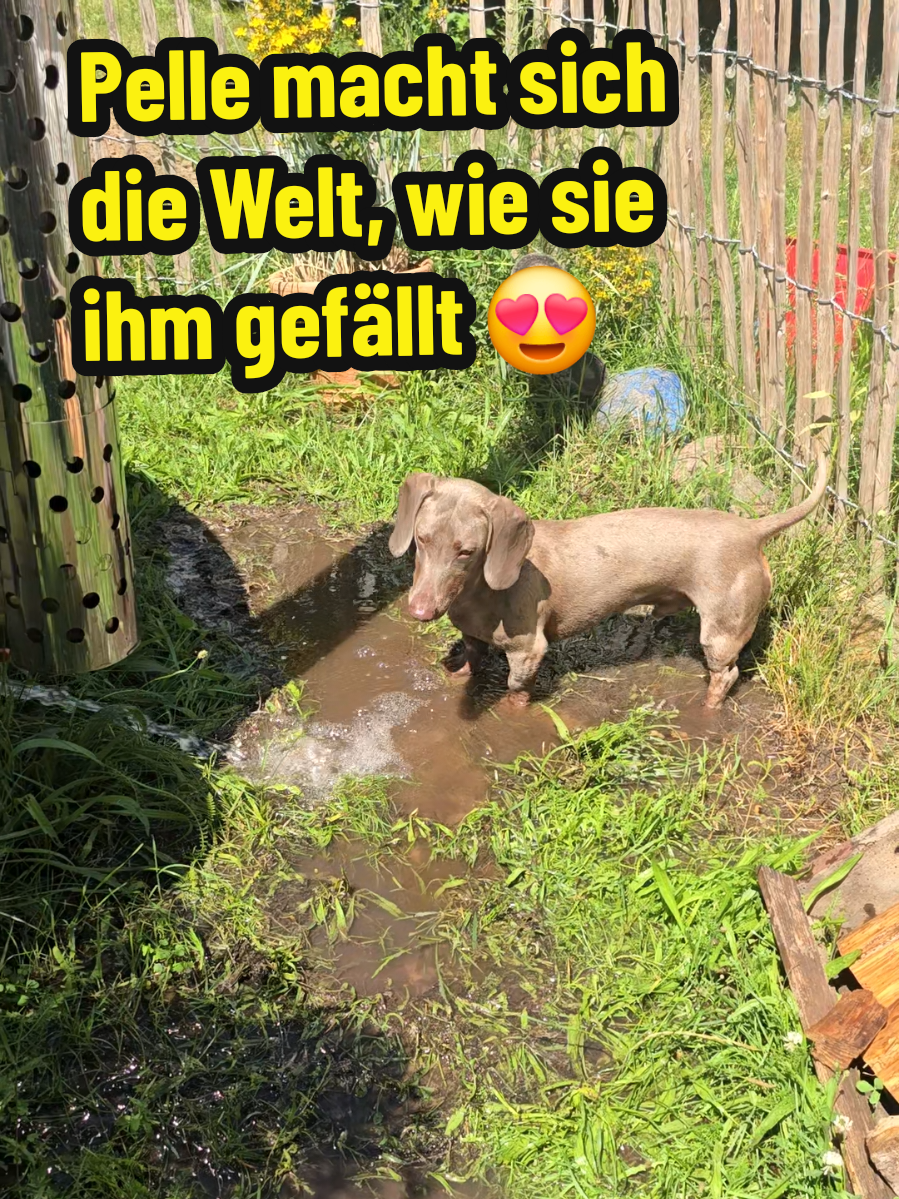 @👩🌾 Farmgirl 👩🌾
