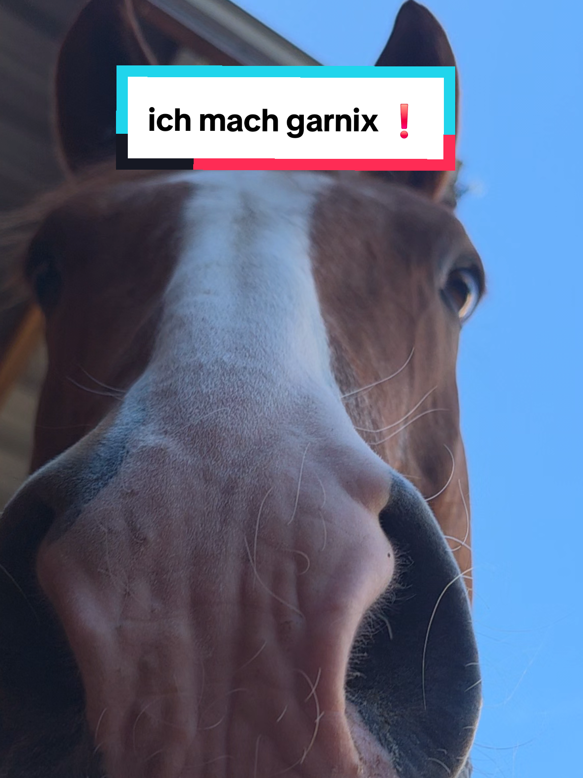 @🤠 Cowboy.HDH