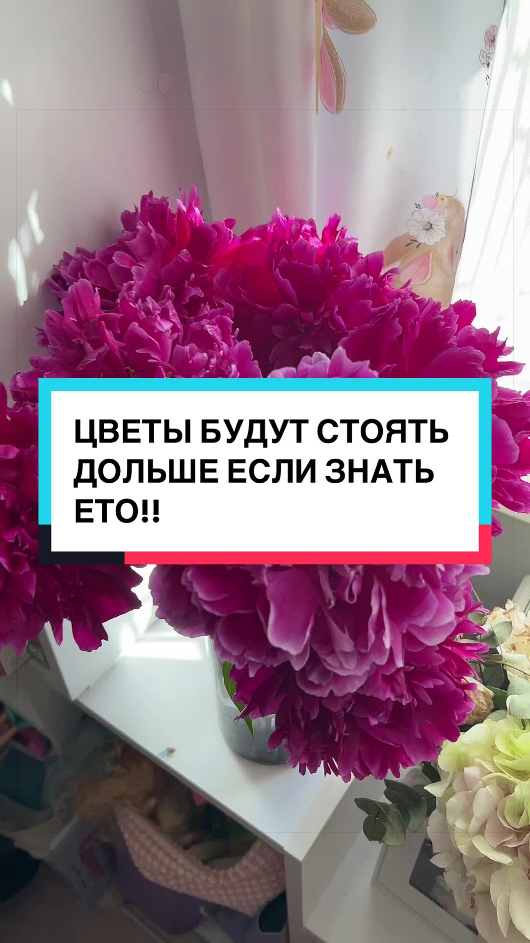 @laifhak_mozgi