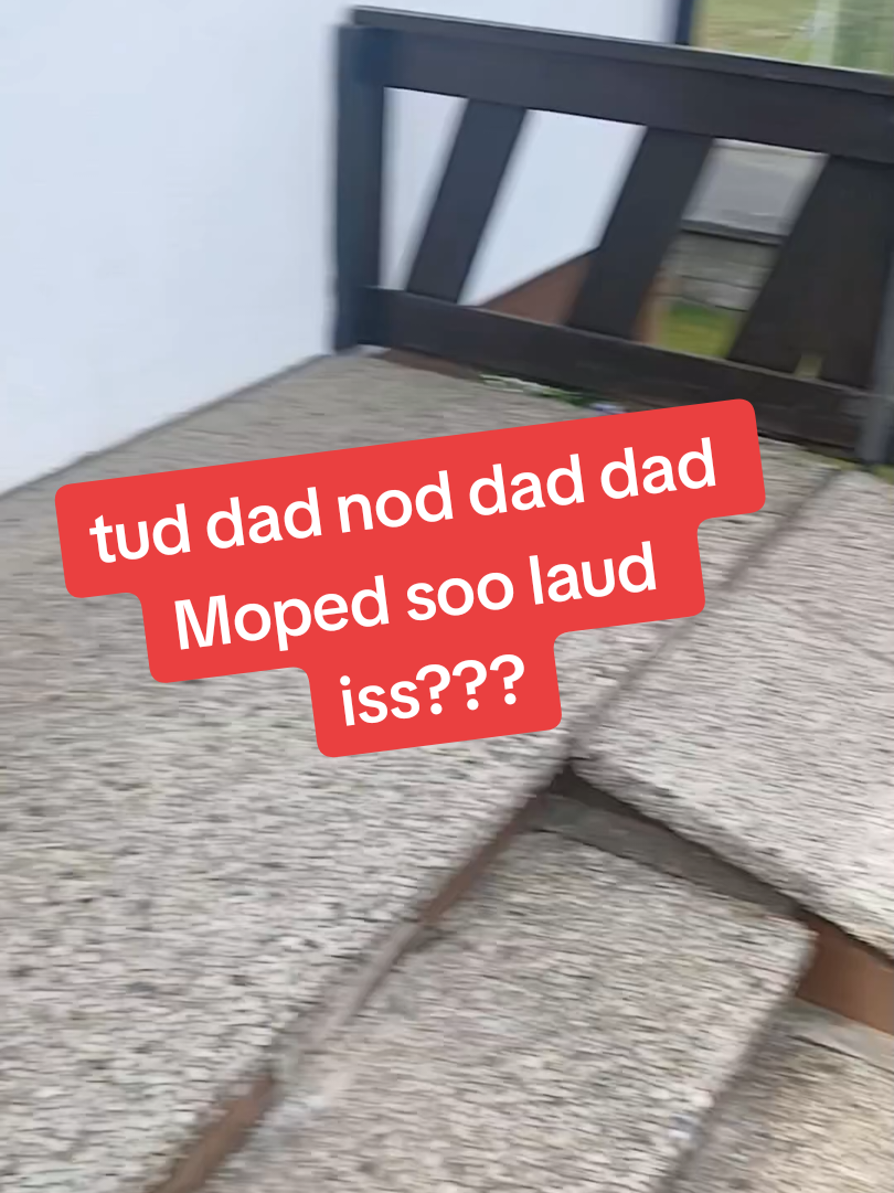 @🔨🔩🏞Fritzelfred125🤯
