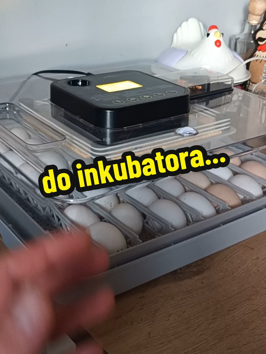 @Marcin ogrodnik