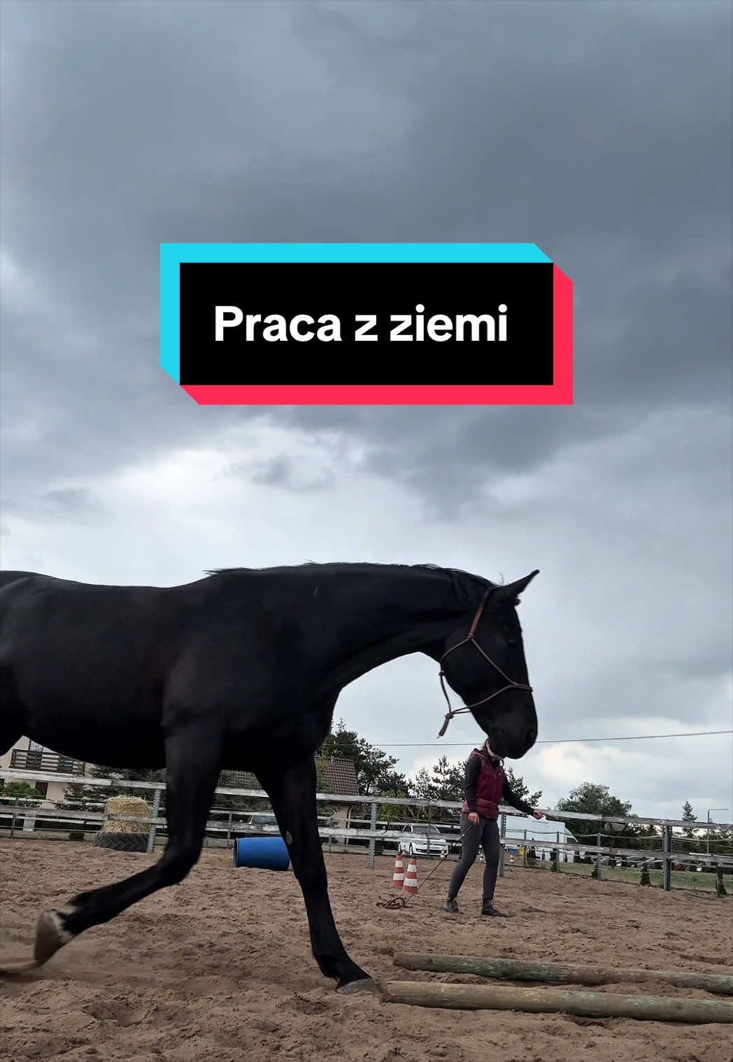 @Stado_Belli