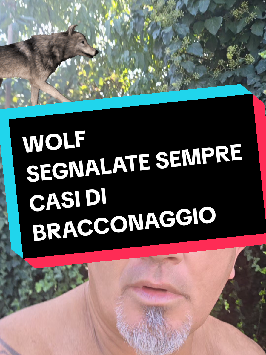 @Cristian Carbognani
