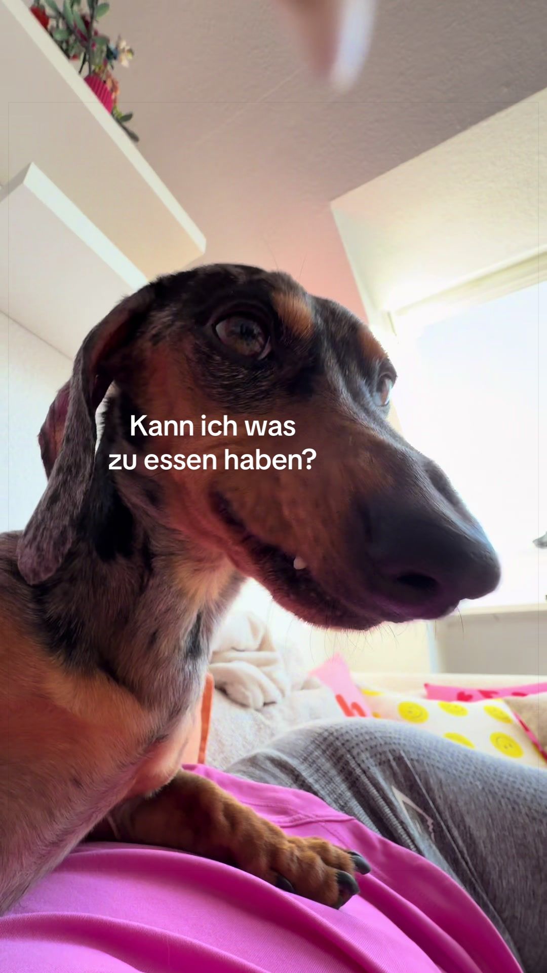 @Hugo