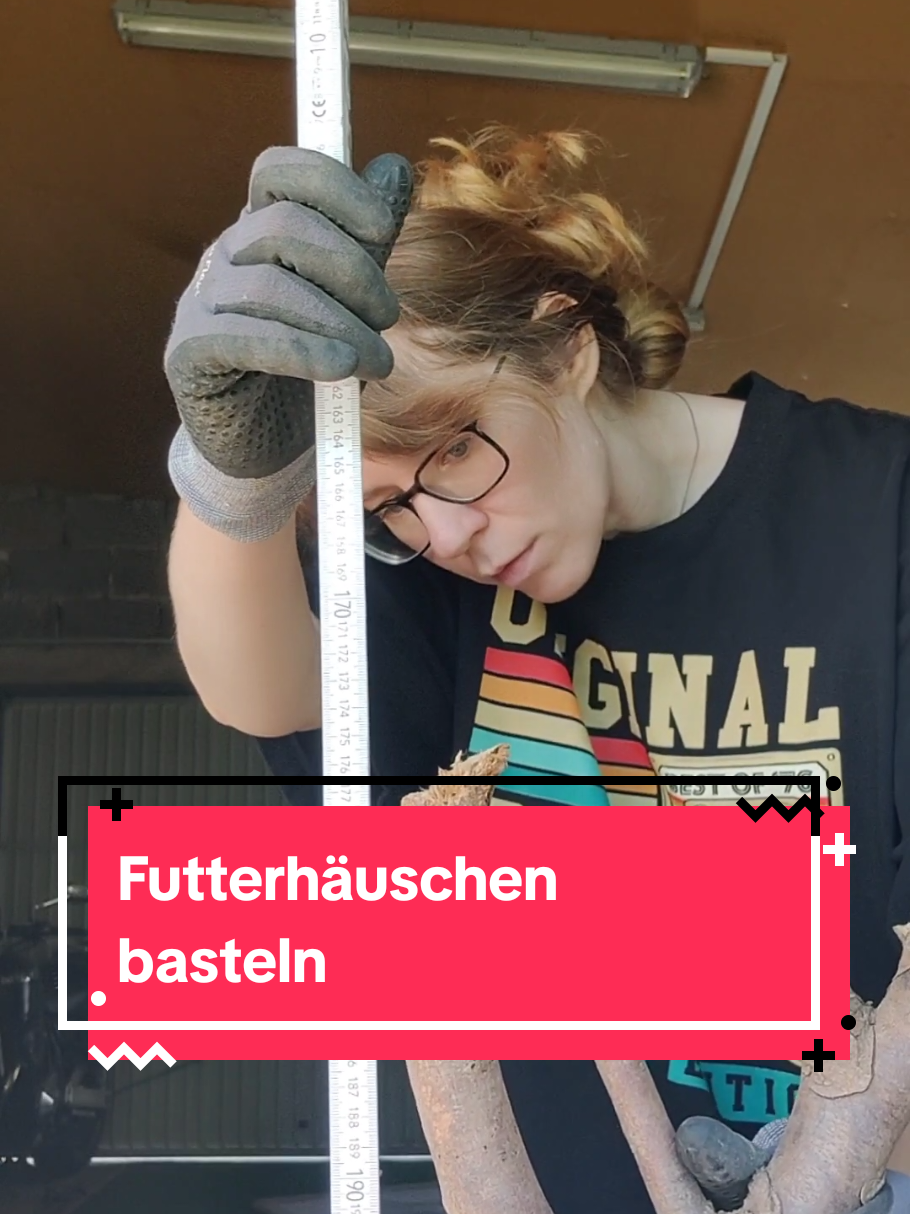 @amsel