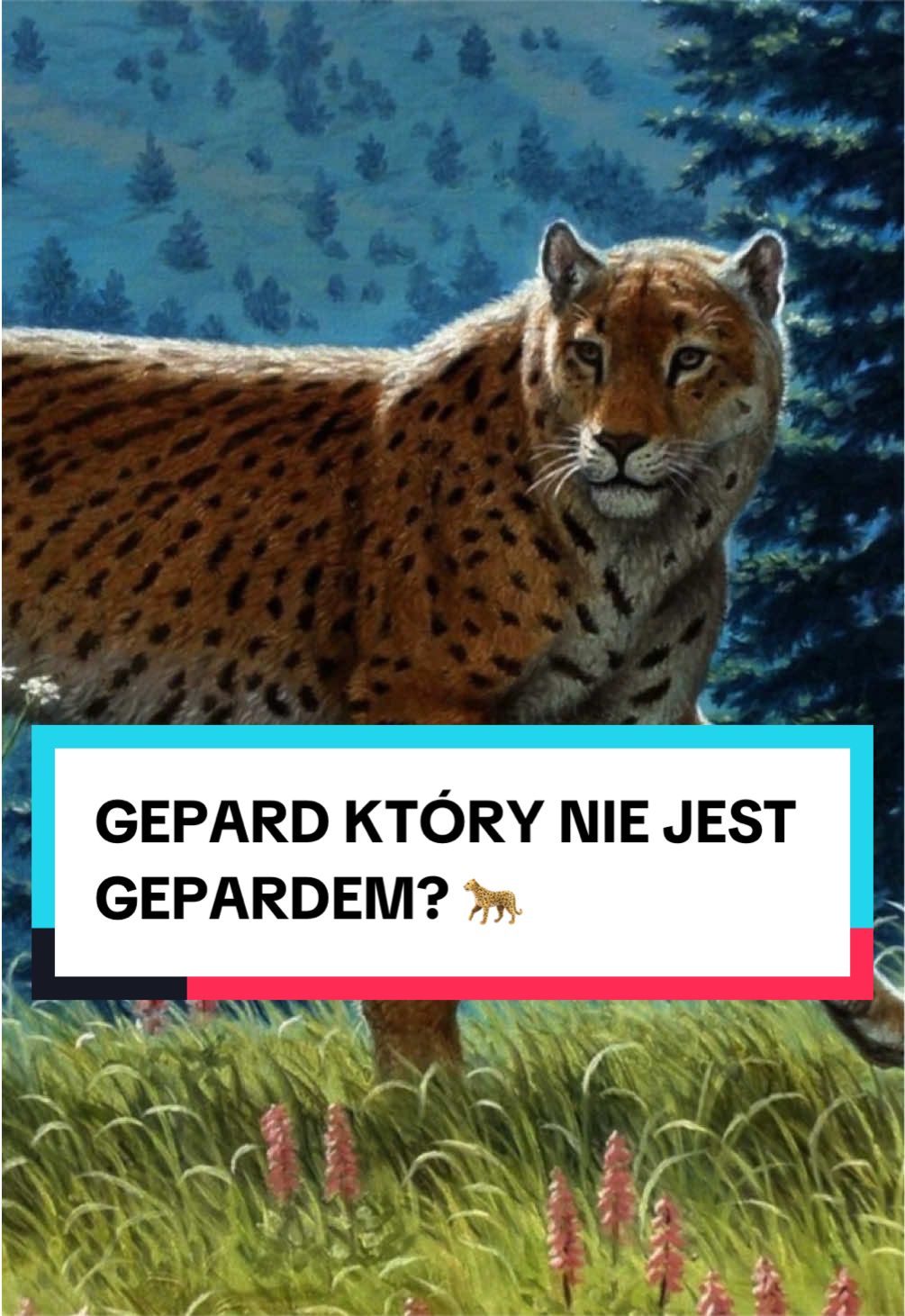 @pandawojtekyt