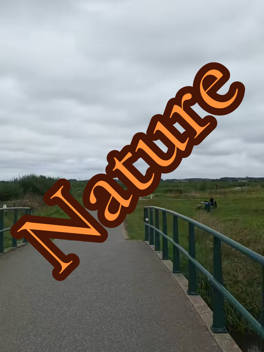 @Thalipauriel 🇳🇱🇬🇧🇪🇺