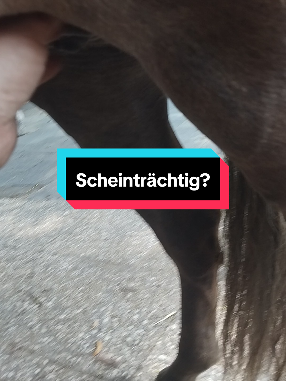 @Smillatier