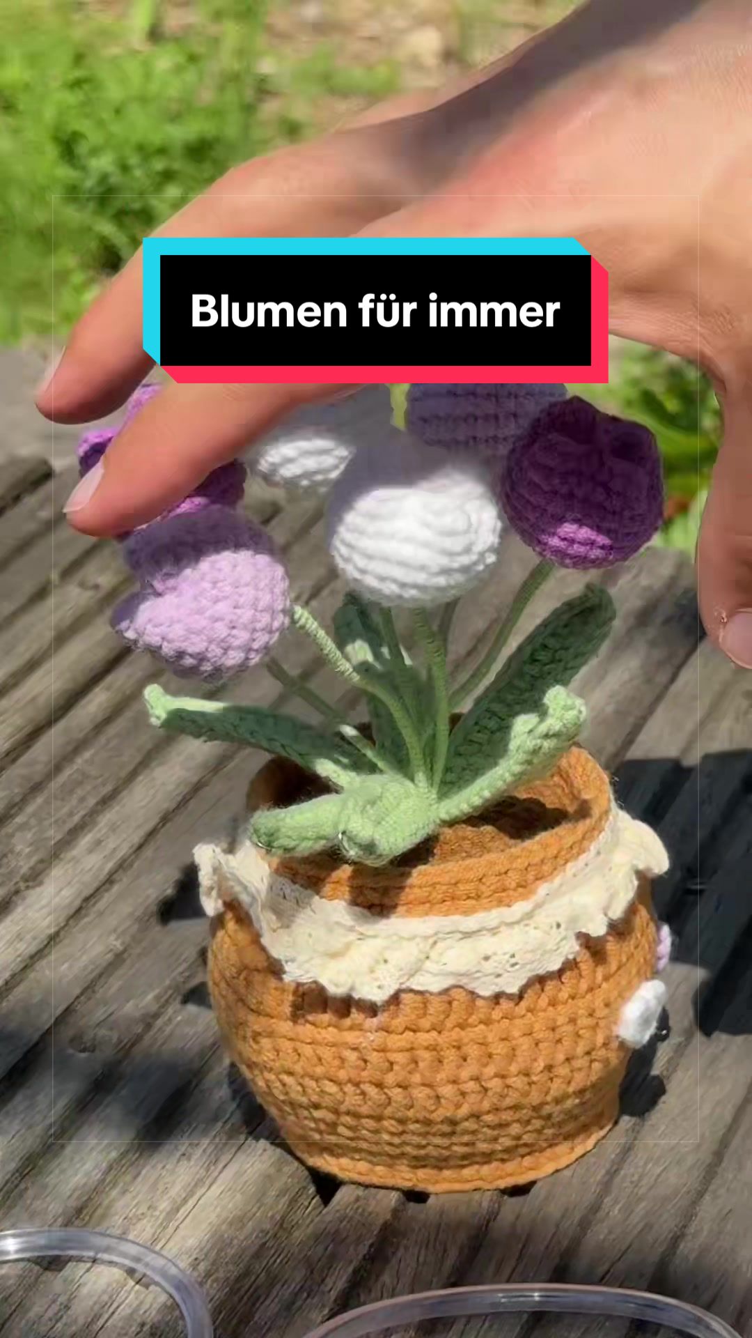 @MaximNoise