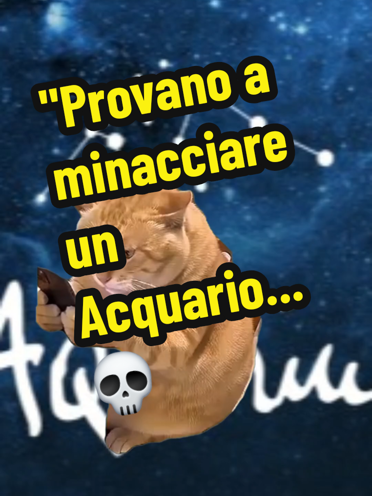 @Sara Simoncelli