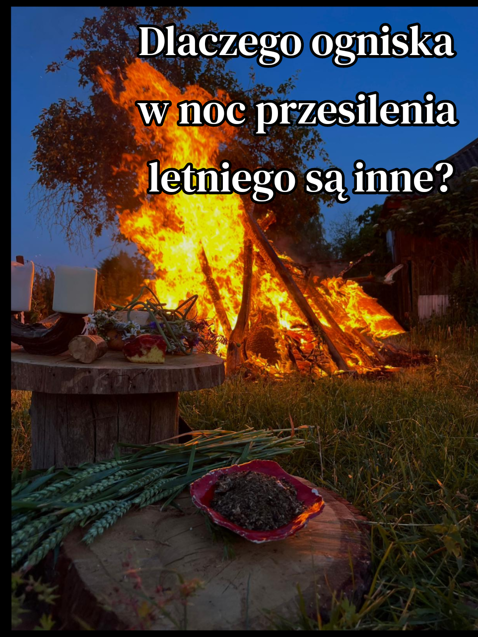 @WilczaRodzina
