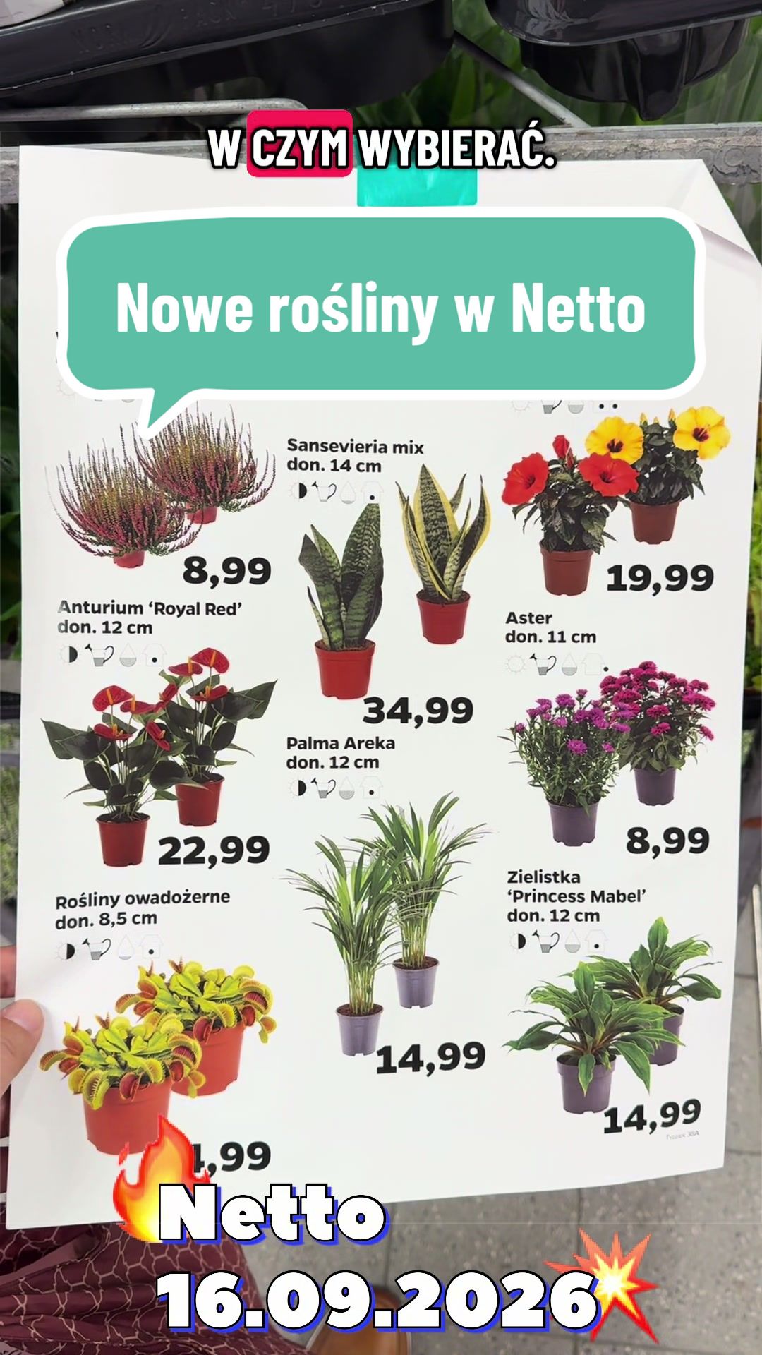 @maciej.plants