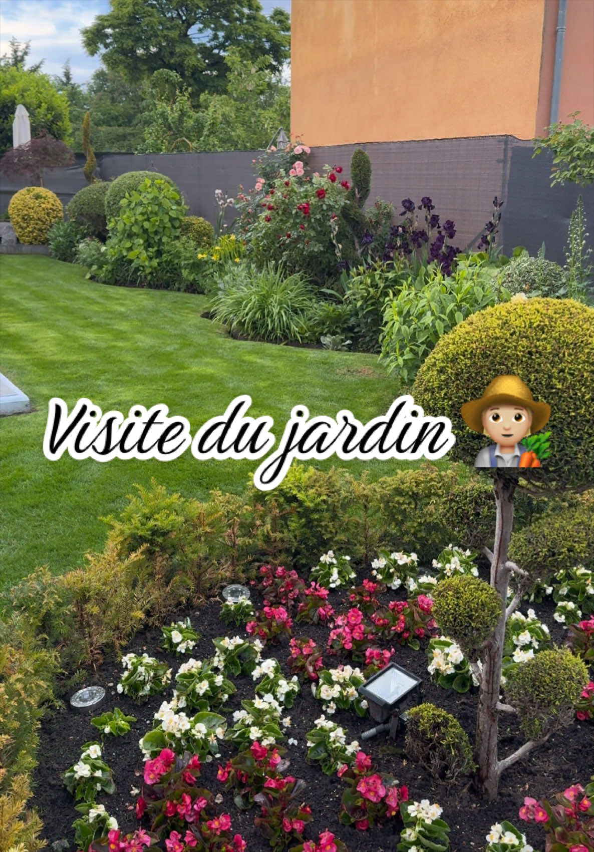 @Jardin de Rémi