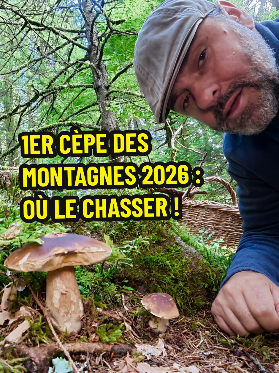@Dan 🍄🟫 Le Champologue