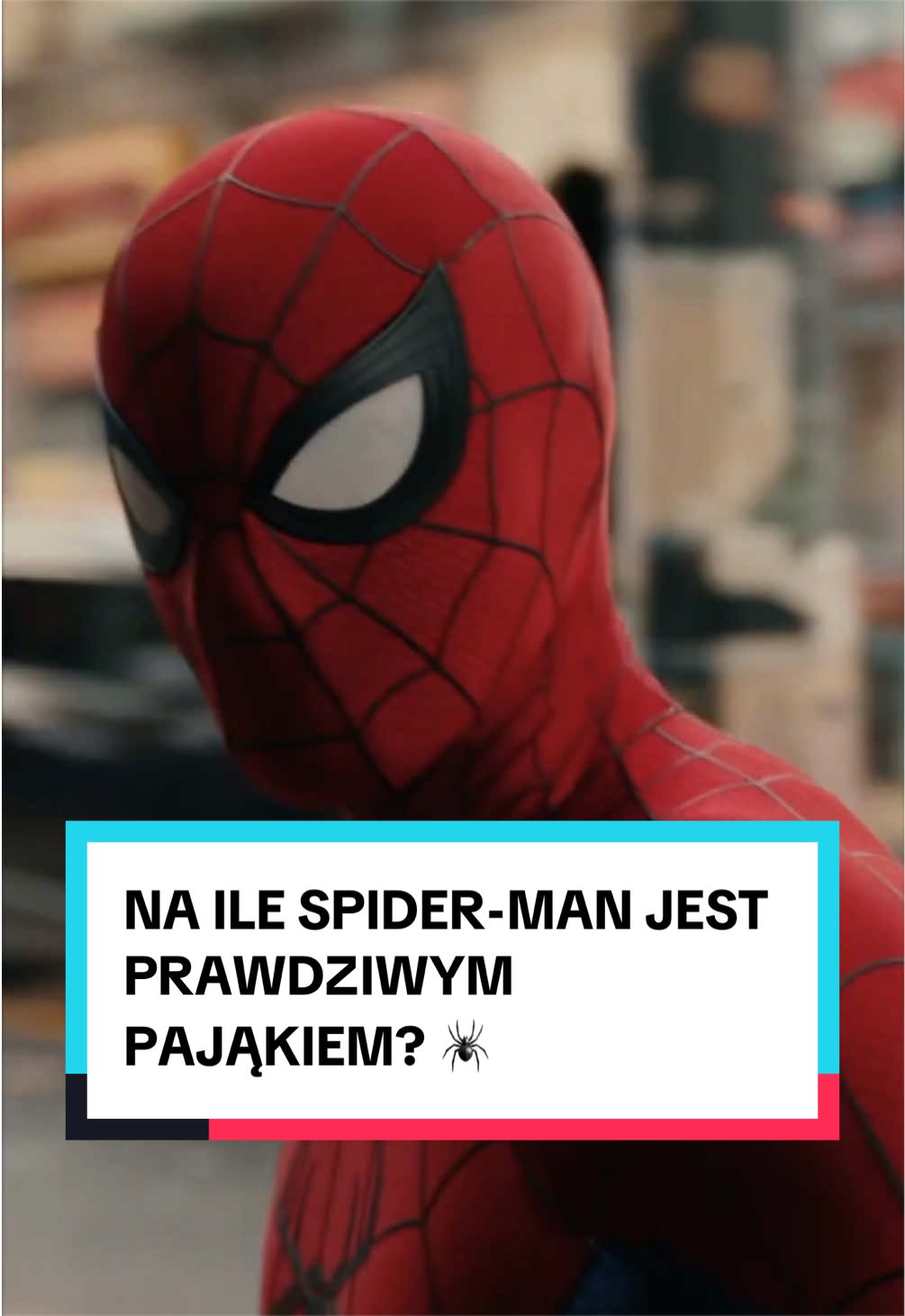 @pandawojtekyt