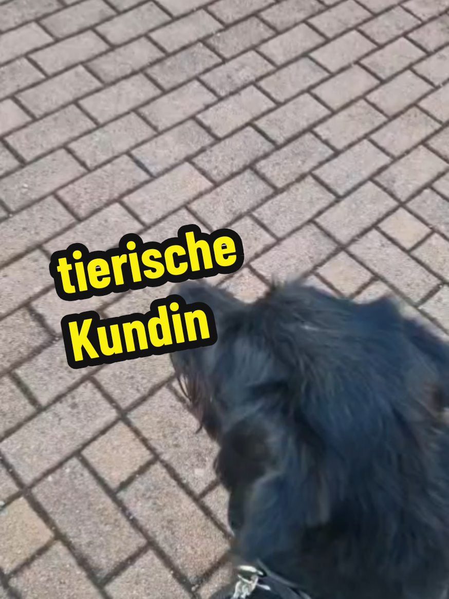 @Lehrerinmit ❤️ Franzi