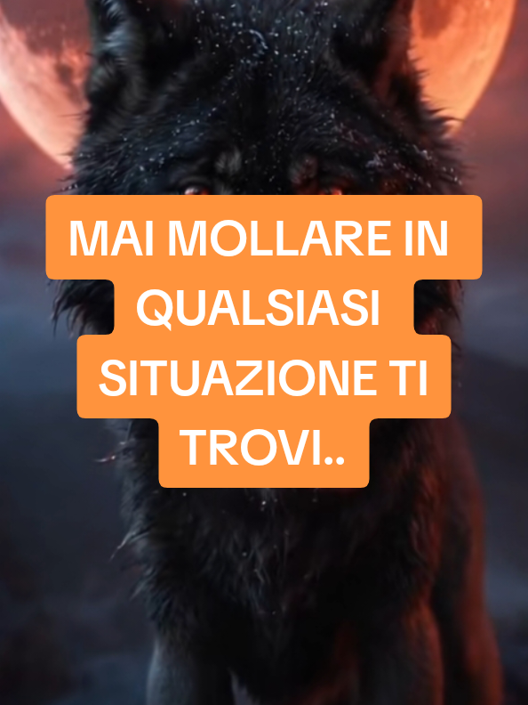 @ALESSANDRO_IL_ROMANO