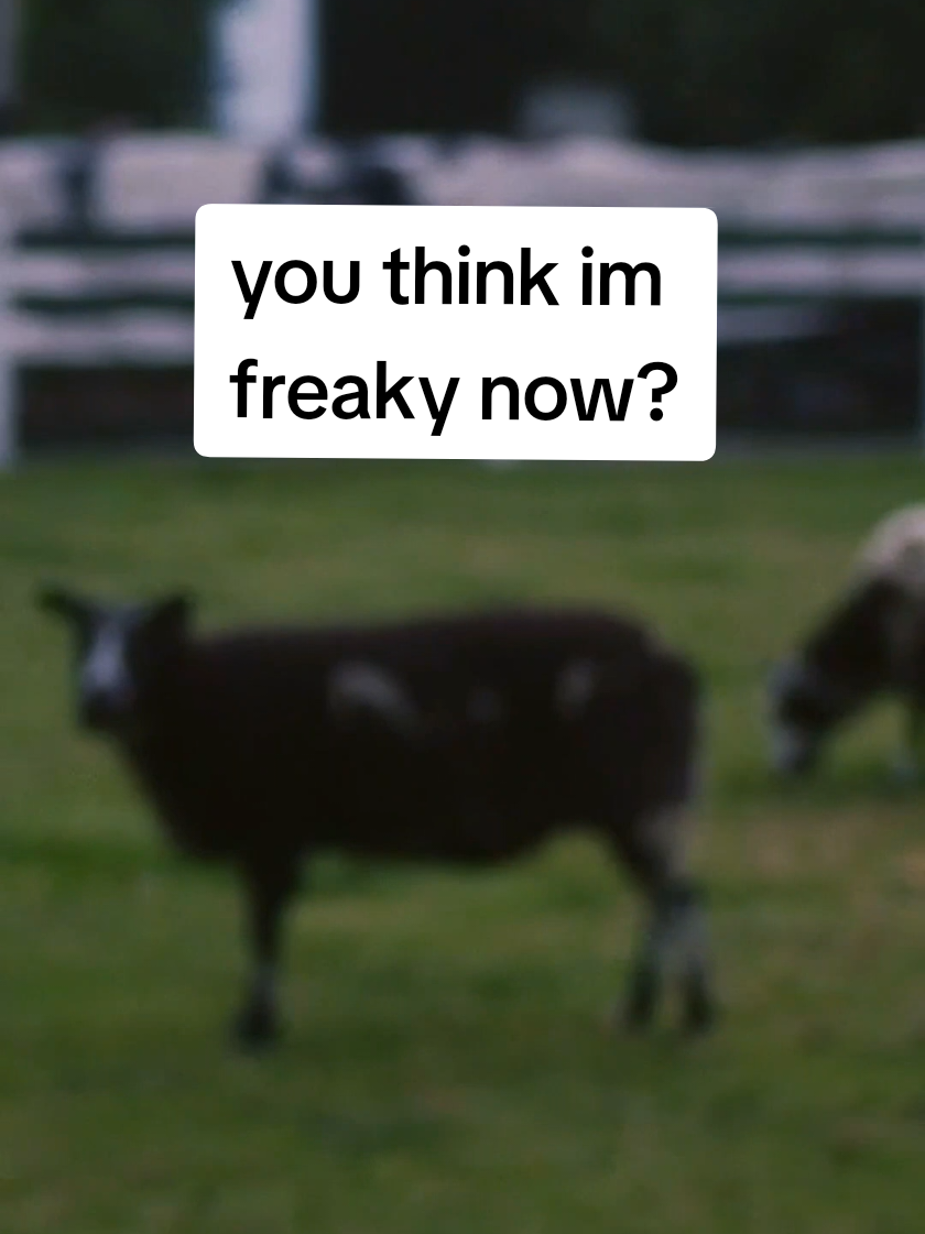 @Jake Catterall