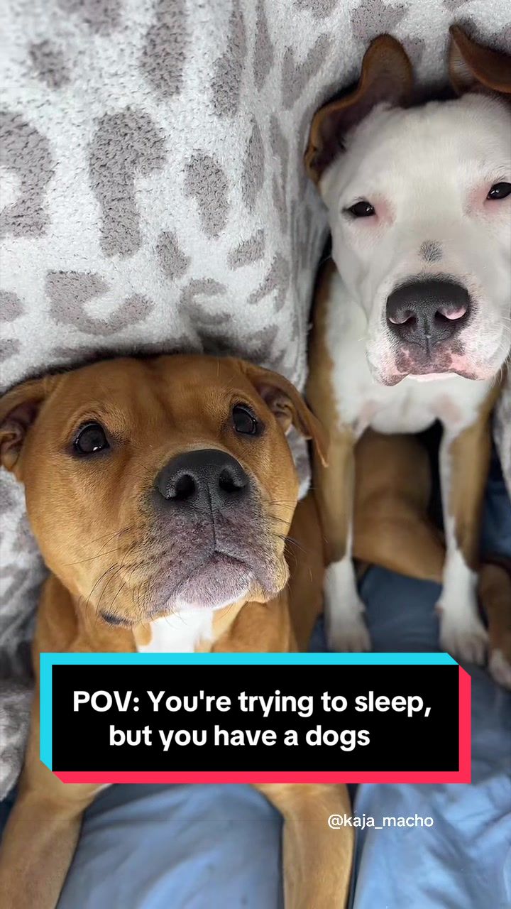 @Kaja & Macho 🥰