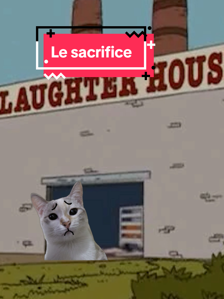 @AllanCrevette
