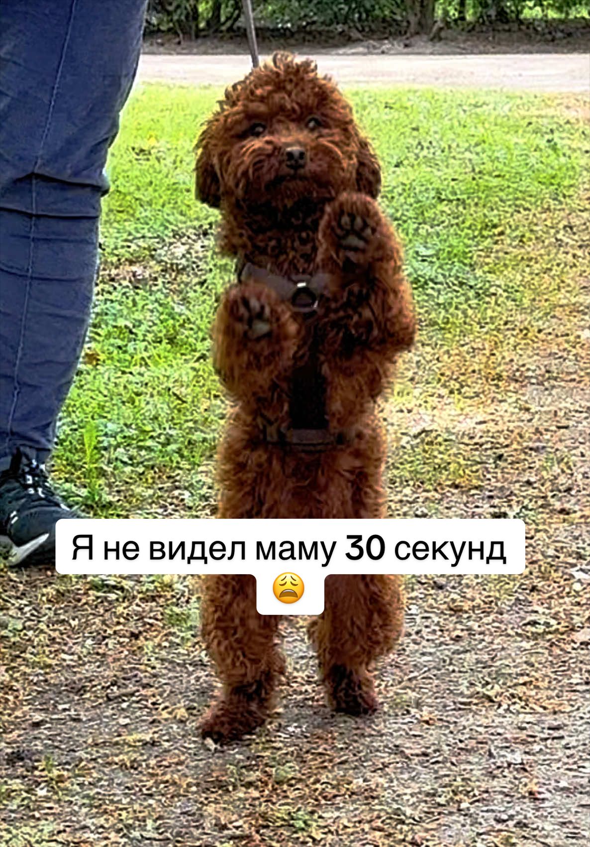 @❤️🐶Elena & Hundewelt🐶❤️