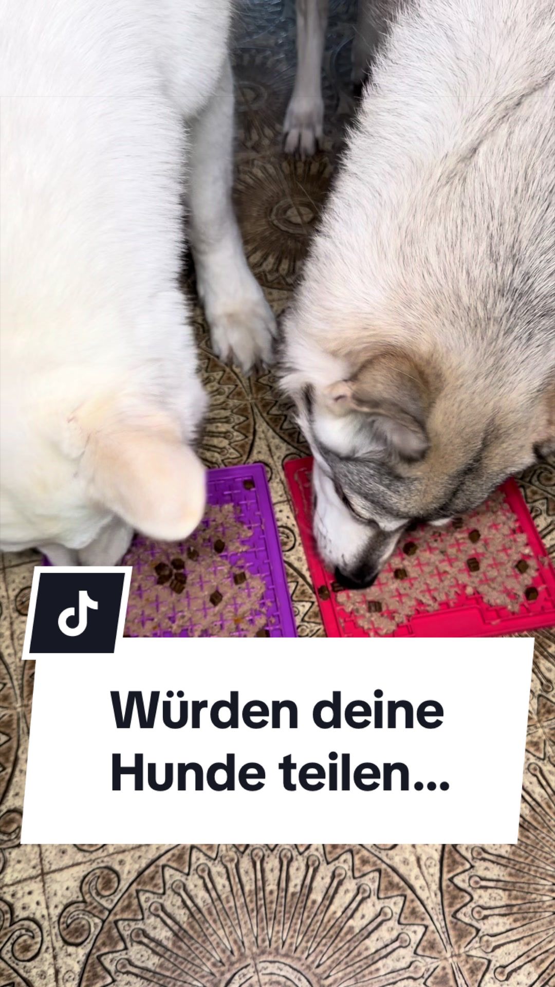 @Coco & Ylvi