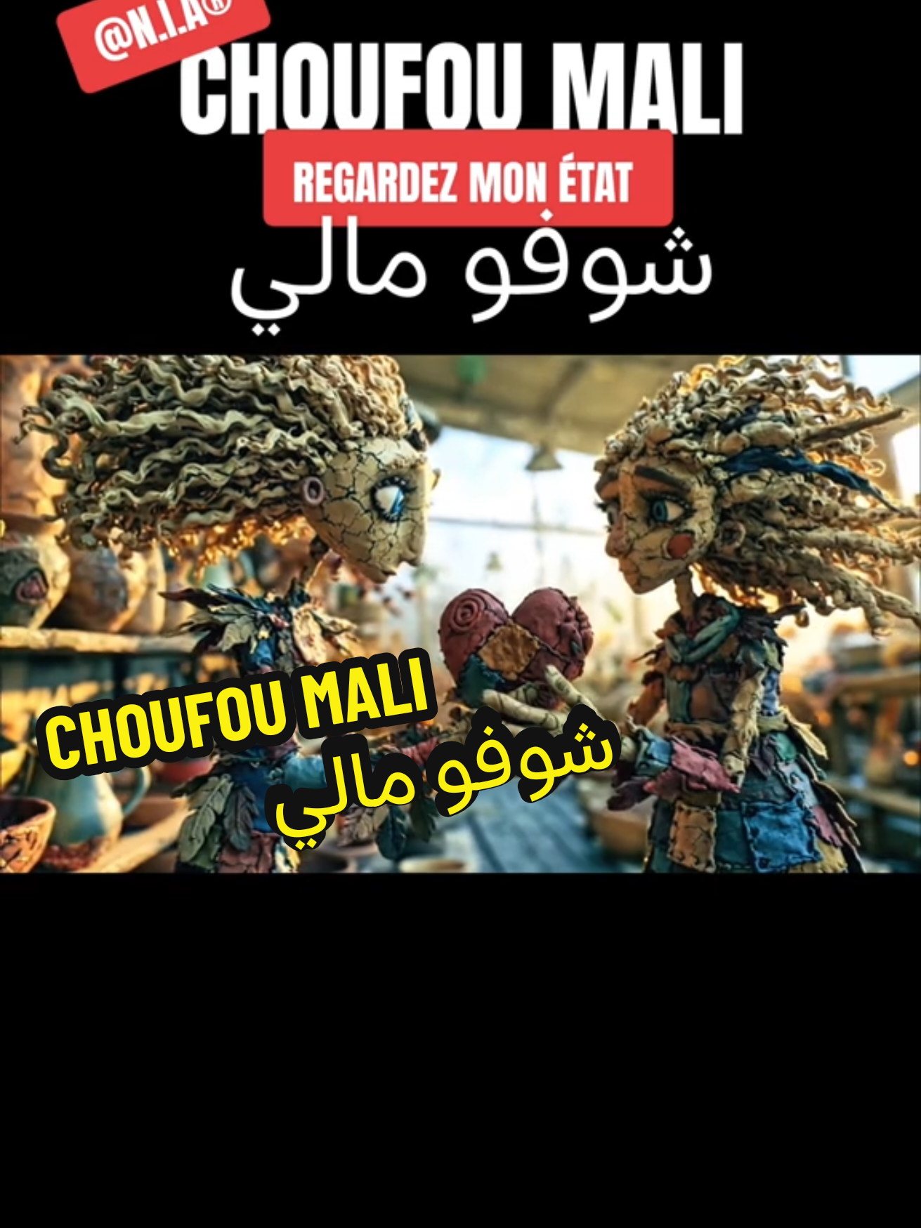 @N.I.A&reg;