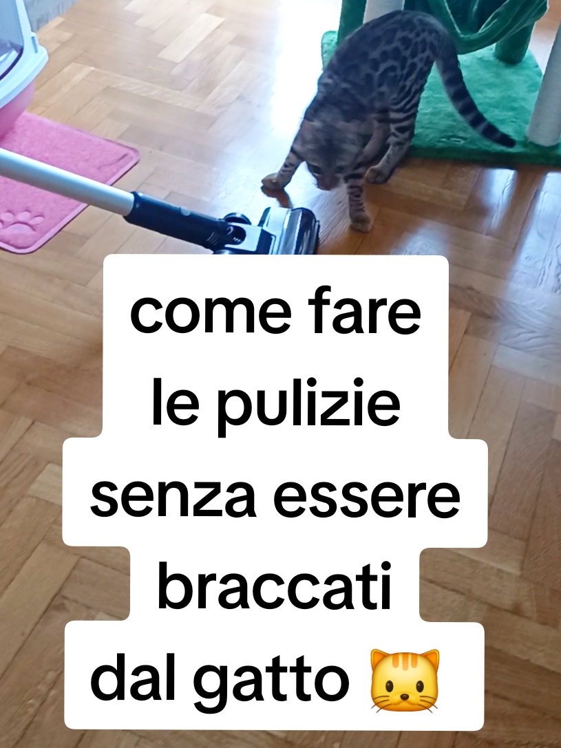 @Rio.supercat