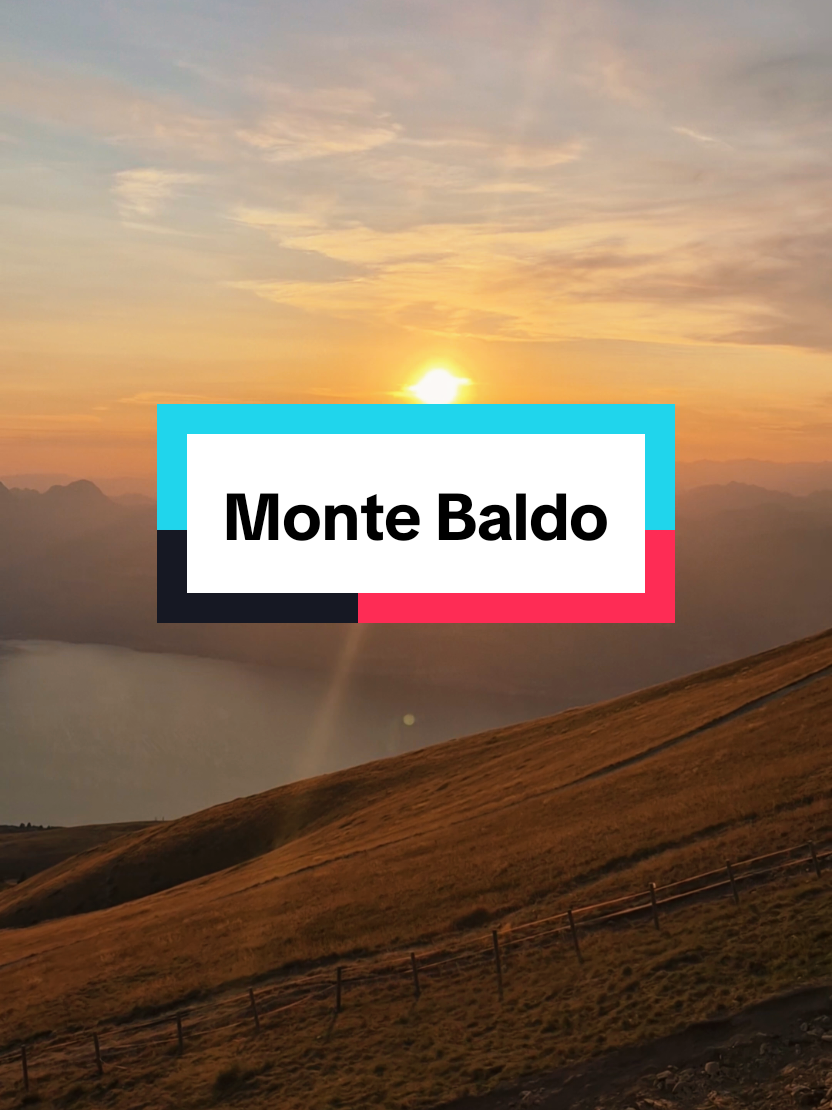 @Alberto_Cord_𝕋𝕣𝕖𝕜𝕜𝕚𝕟𝕘