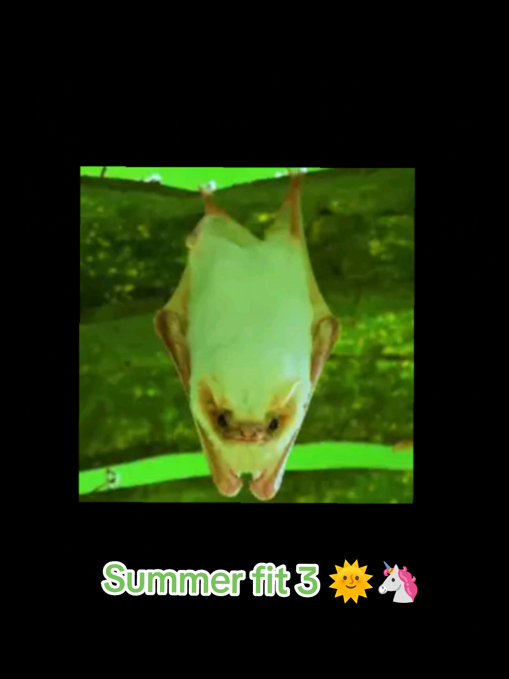 @🦇👻⦻𝐿𝑖𝑙𝑦 𝑙𝑢𝑛𝑑𝑦⦻👻🦇