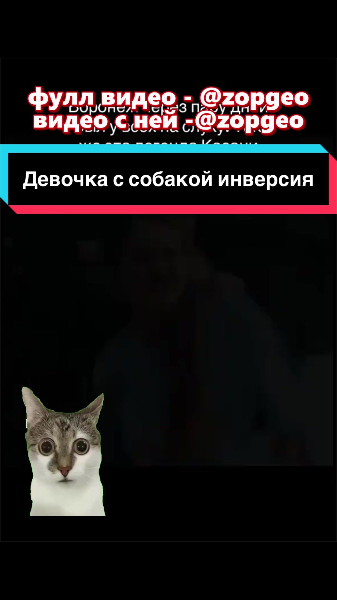 @СМОТРИ ПРОФИЛЬ