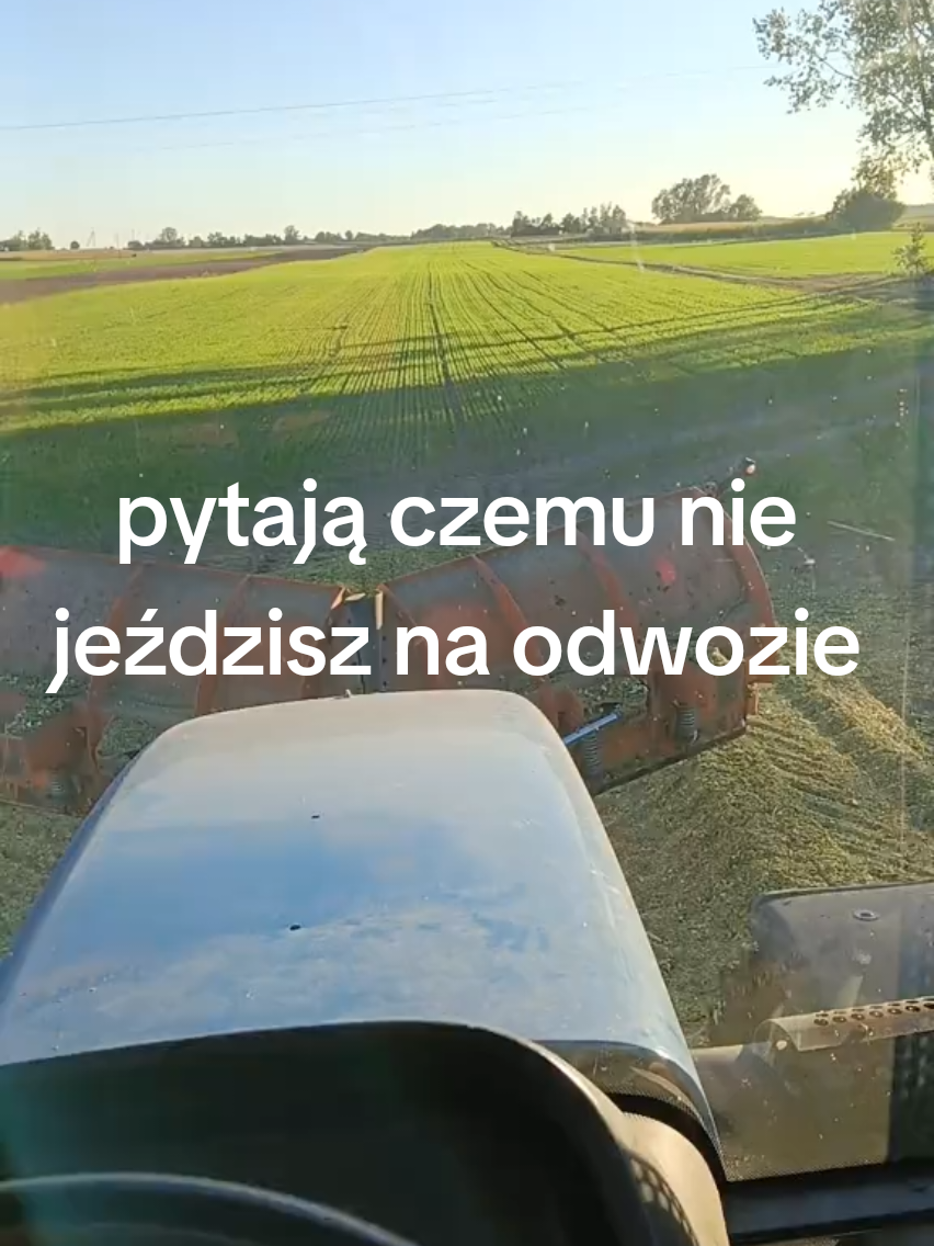 @Kamil Milewski