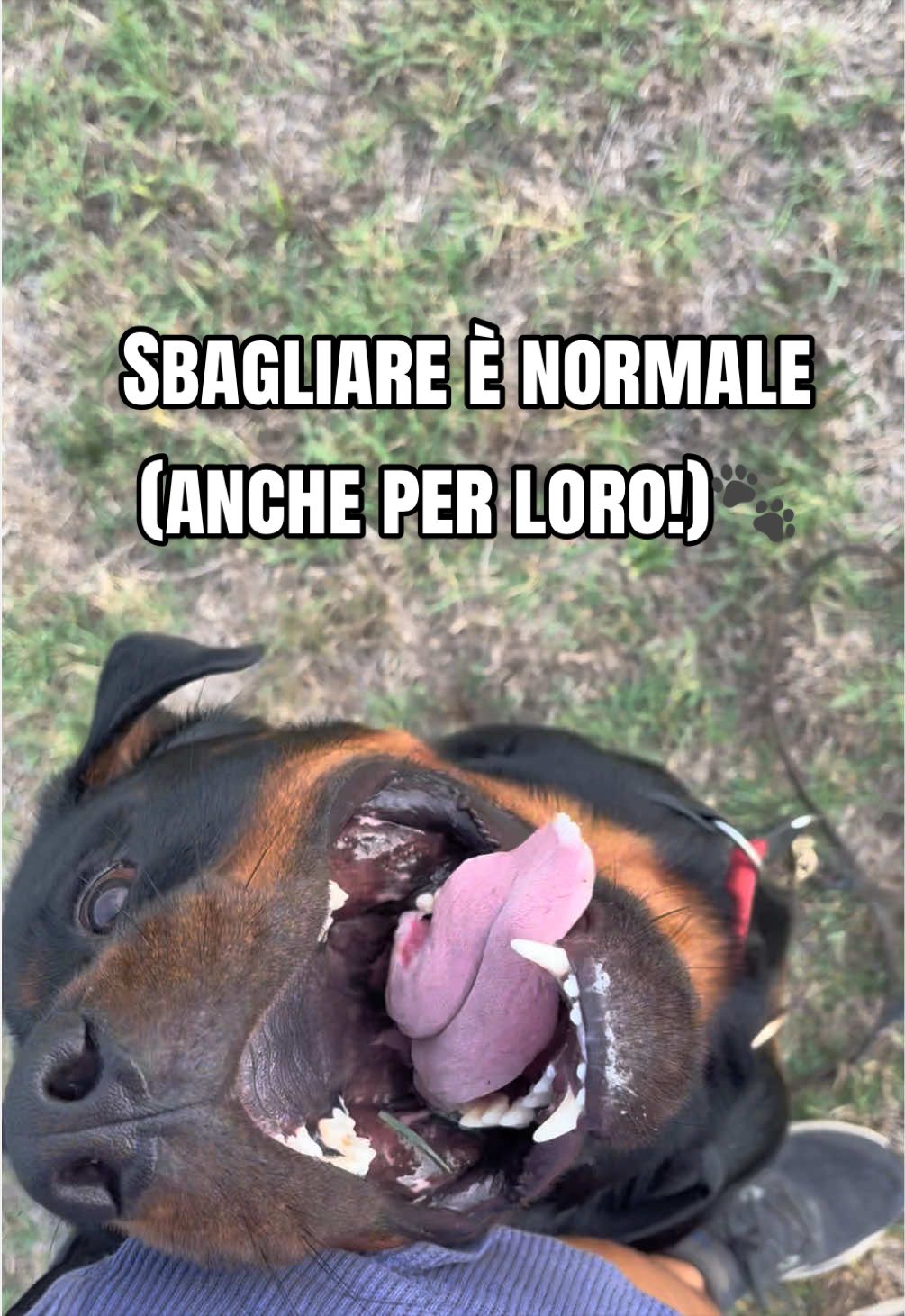 @Le avventure di Thor 🌪️ w ❤️
