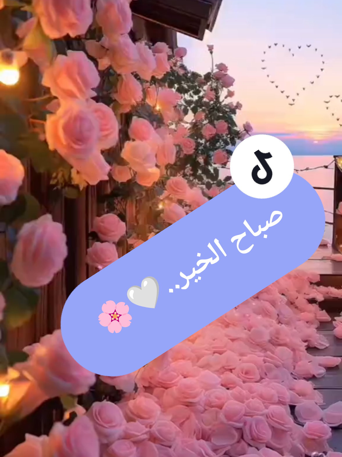 @صدى الصمت 🌸