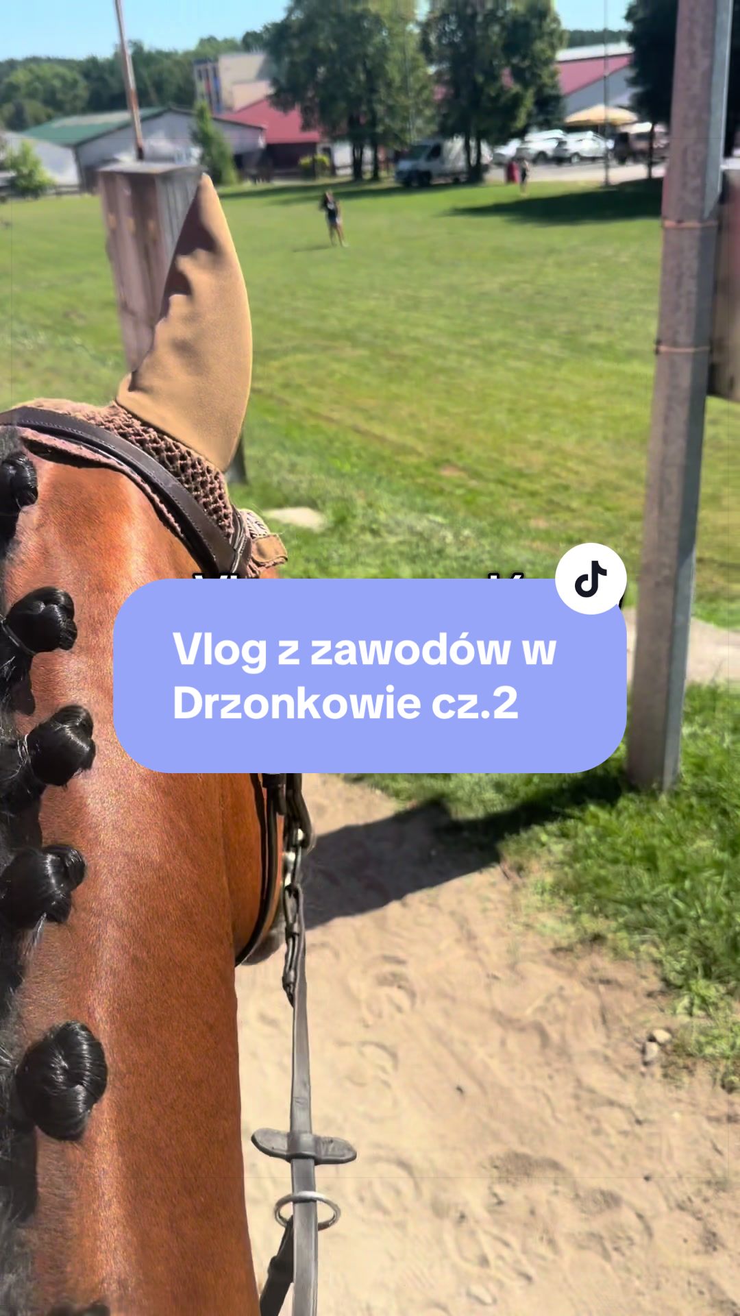 @Nawojka Kiecoń