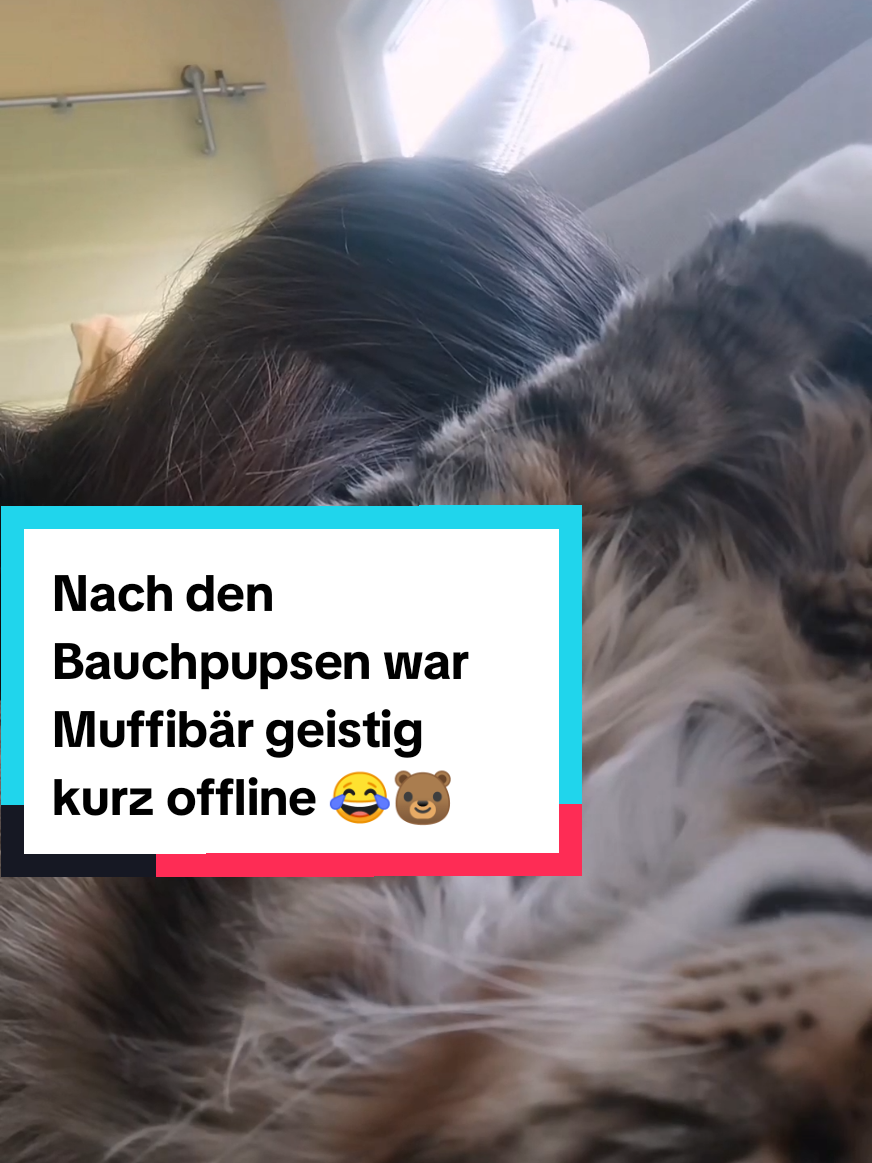 @animalslover
