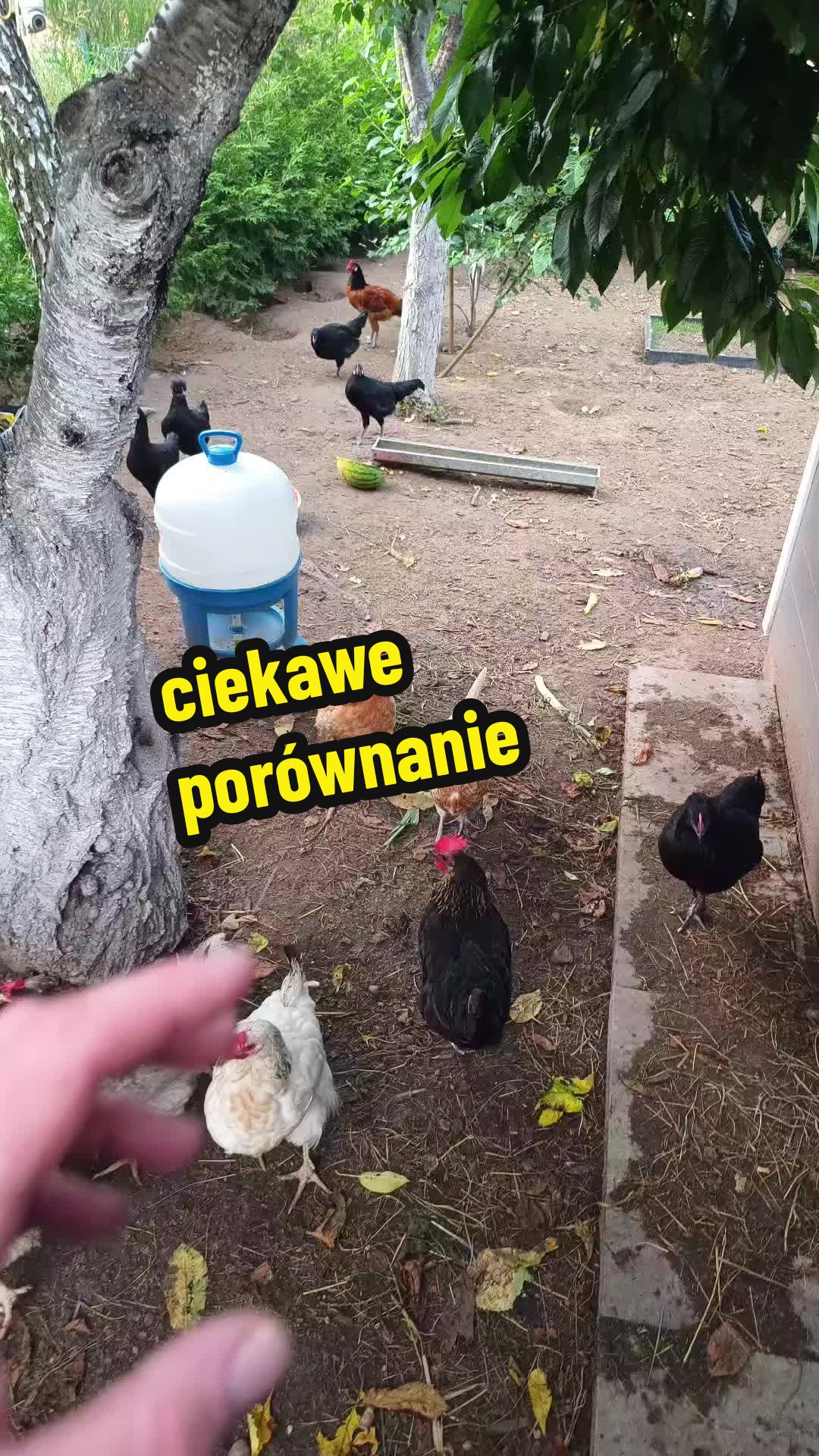 @Marcin ogrodnik