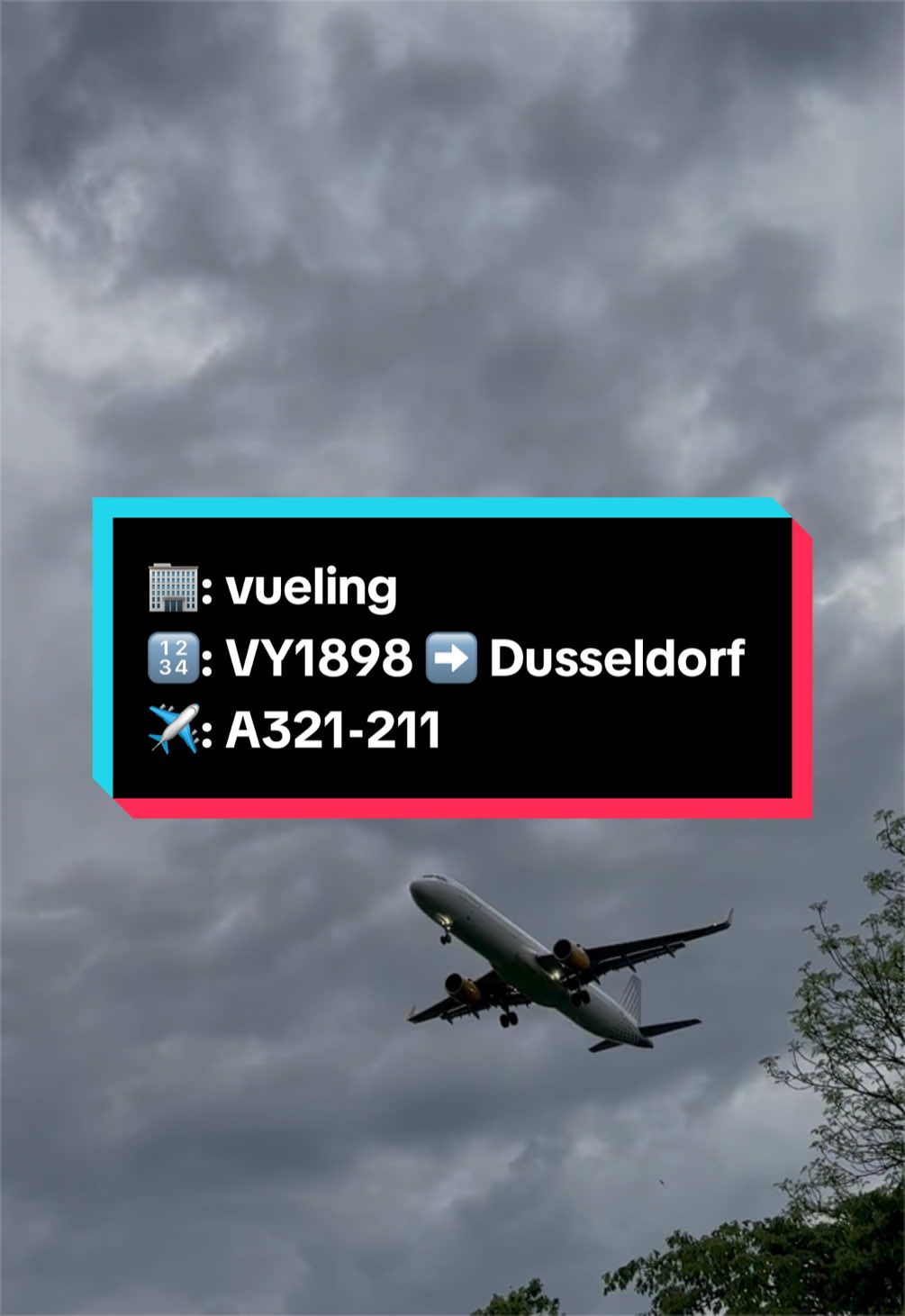 @david_ddorf