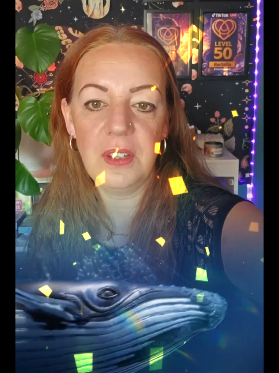 @🪷🦊Sanne🦊🪷